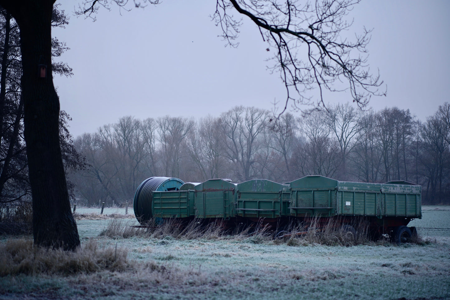 Frosted Fields