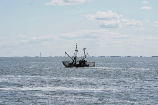 The catch