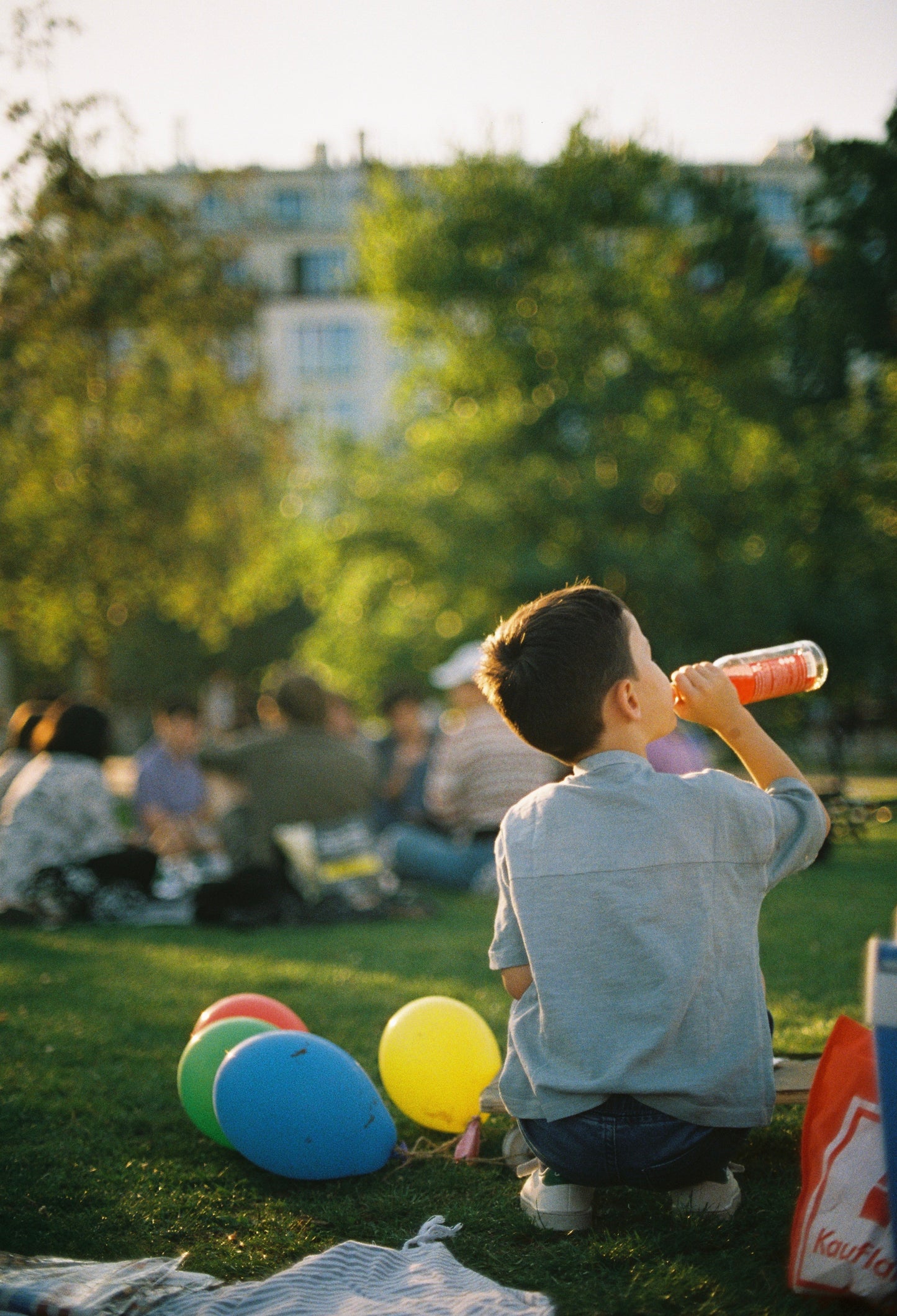 Picnic day